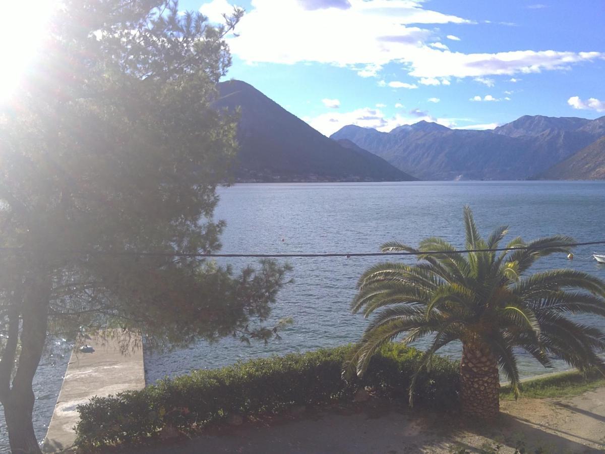 Waterfront Apartment Petrovina Kotor Bagian luar foto